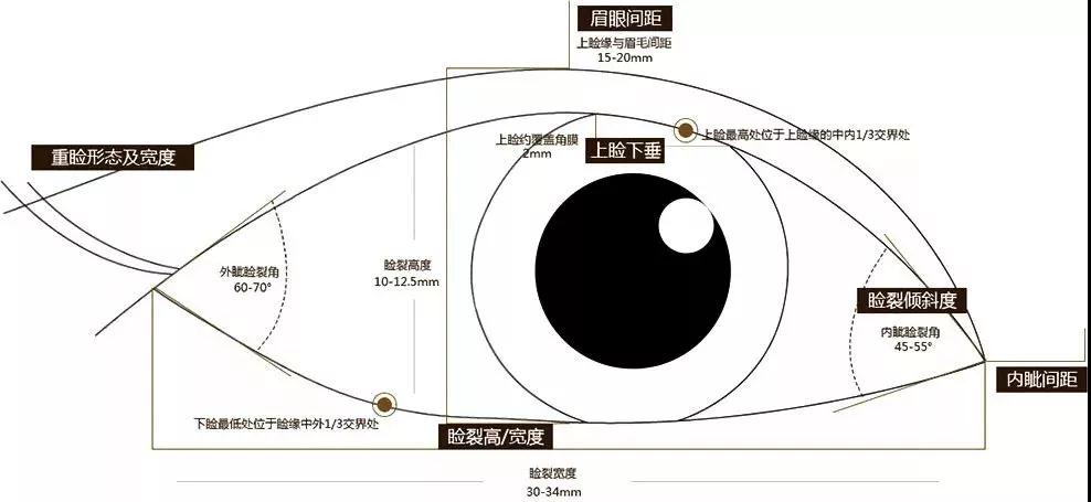 北京郭建玲醫(yī)生科普雙眼皮手術知識