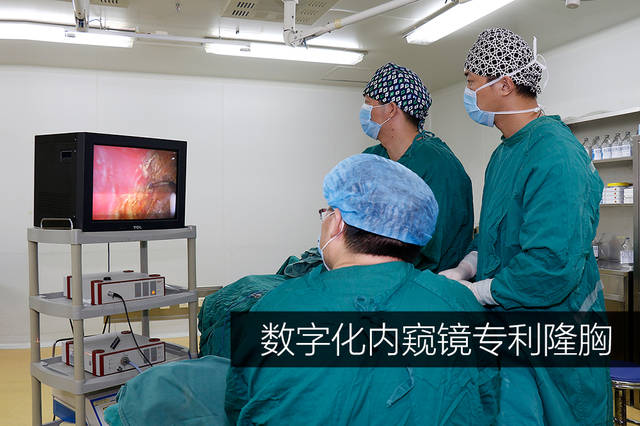 內(nèi)窺鏡德國vizaar威薩隆胸