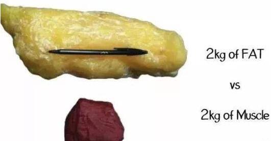 中醫(yī)埋線減肥方式