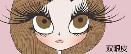雙眼皮